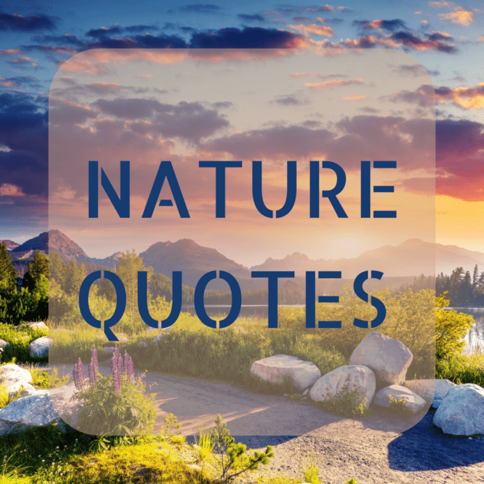 Nature Quotes