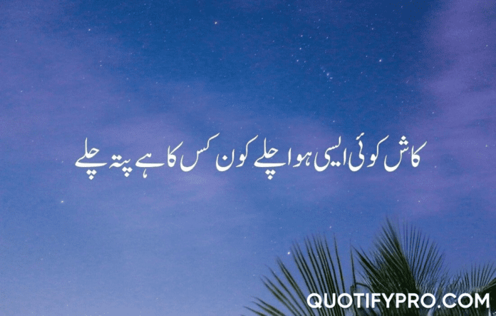 کاش کوئی ایسی ہوا چلے کون کس کا ہے پتہ چلے