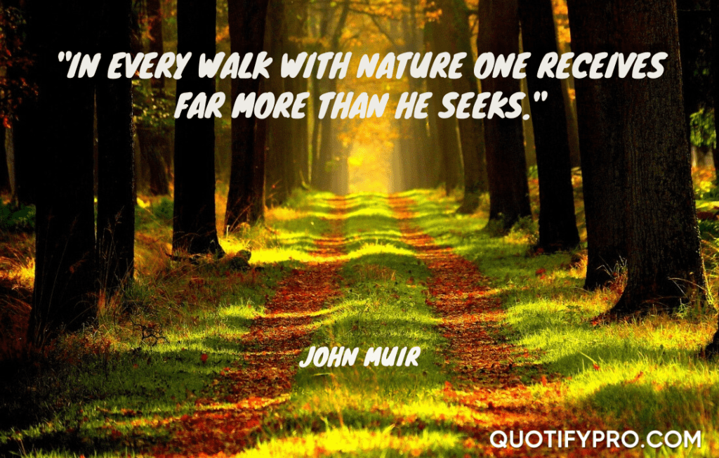 "in every walk with nature one receives far more than he seeks. " –john muir