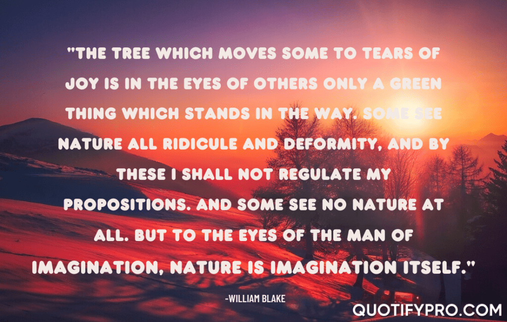 "the tree which moves some to tears of joy is in the eyes of others only a green thing which stands in the way. Some see nature all ridicule and deformity, and by these i shall not regulate my propositions. And some see no nature at all. But to the eyes of the man of imagination, nature is imagination itself. " –william blake