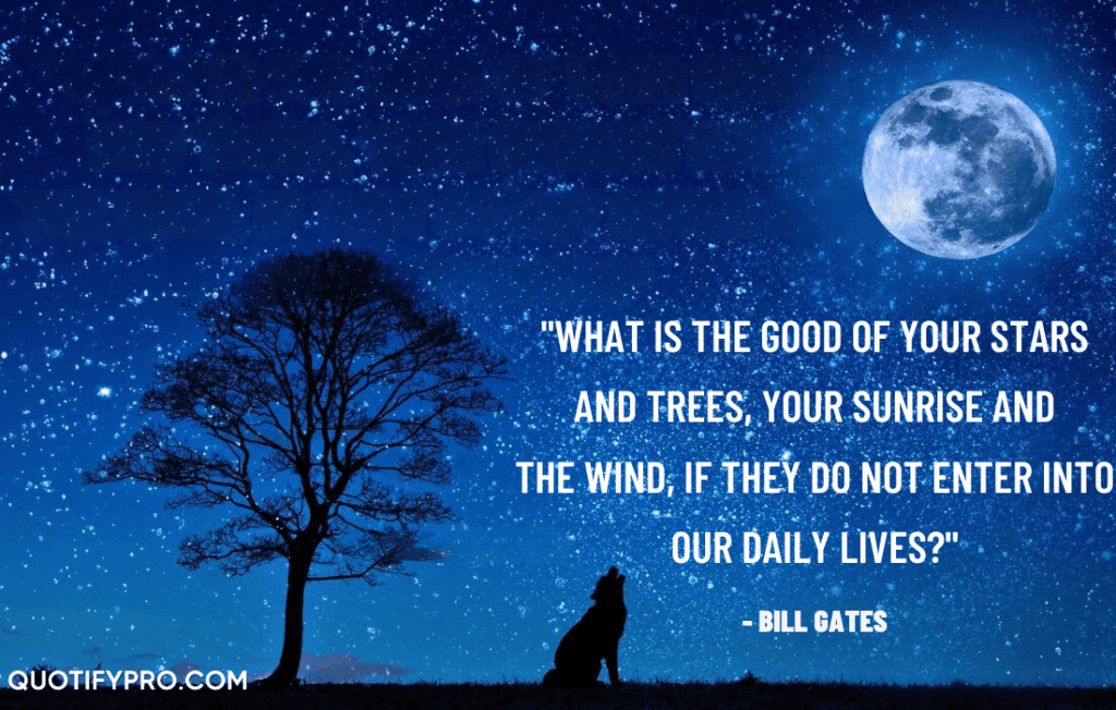 "what is the good of your stars and trees, your sunrise and the wind, if they do not enter into our daily lives? " –e. M. Forster