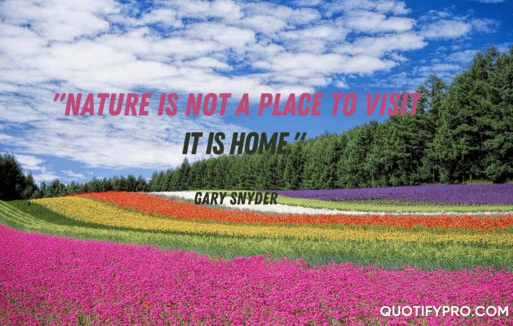 "nature is not a place to visit, it is home. " –gary snyder