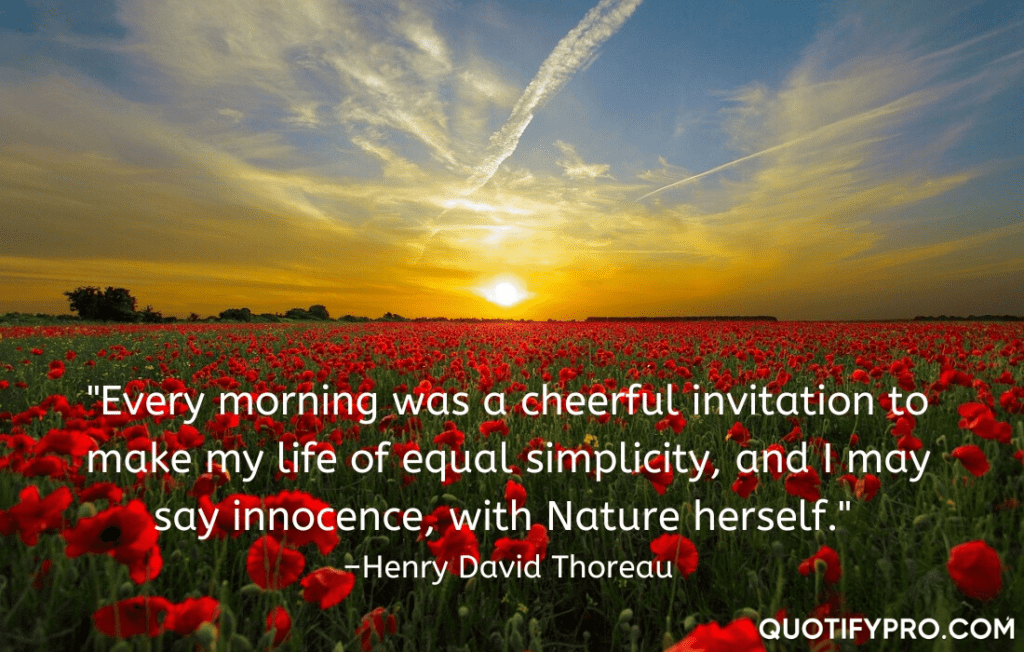 "every morning was a cheerful invitation to make my life of equal simplicity, and i may say innocence, with nature herself. " –henry david thoreau