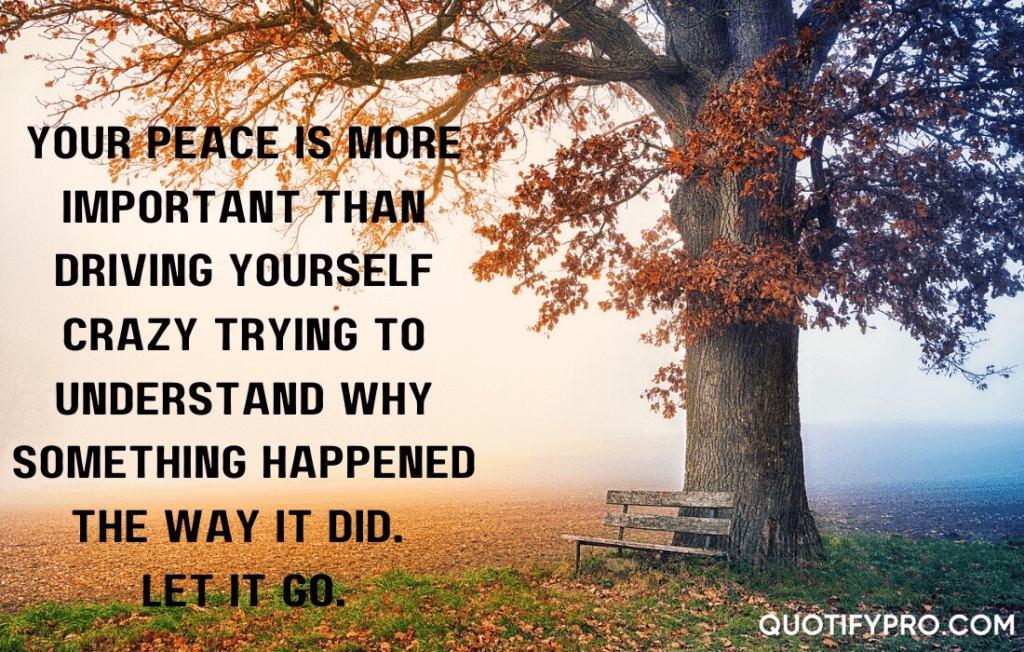 Your peace is more important than driving yourself crazy trying to understand why something happened the way it did. Let it go.