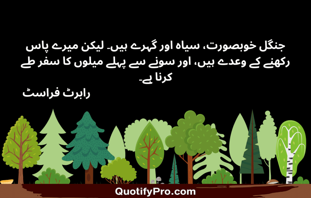 جنگل خوبصورت، سیاہ اور گہرے ہیں۔ لیکن میرے پاس رکھنے کے وعدے ہیں، اور سونے سے پہلے میلوں کا سفر طے کرنا ہے۔